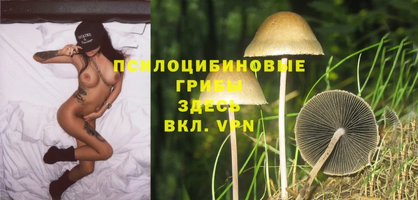 spice Волосово